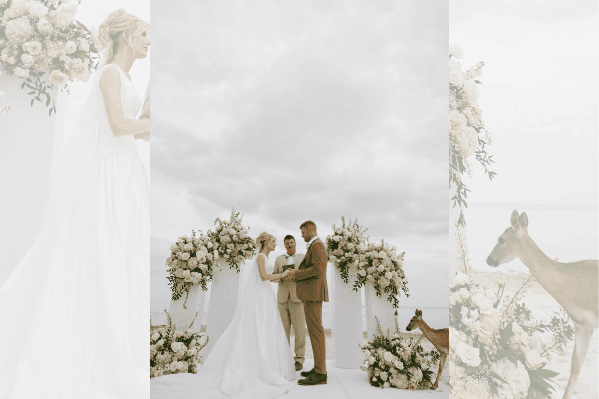 Cervo invade casamento na Flórida e destrói flores caras da cerimônia