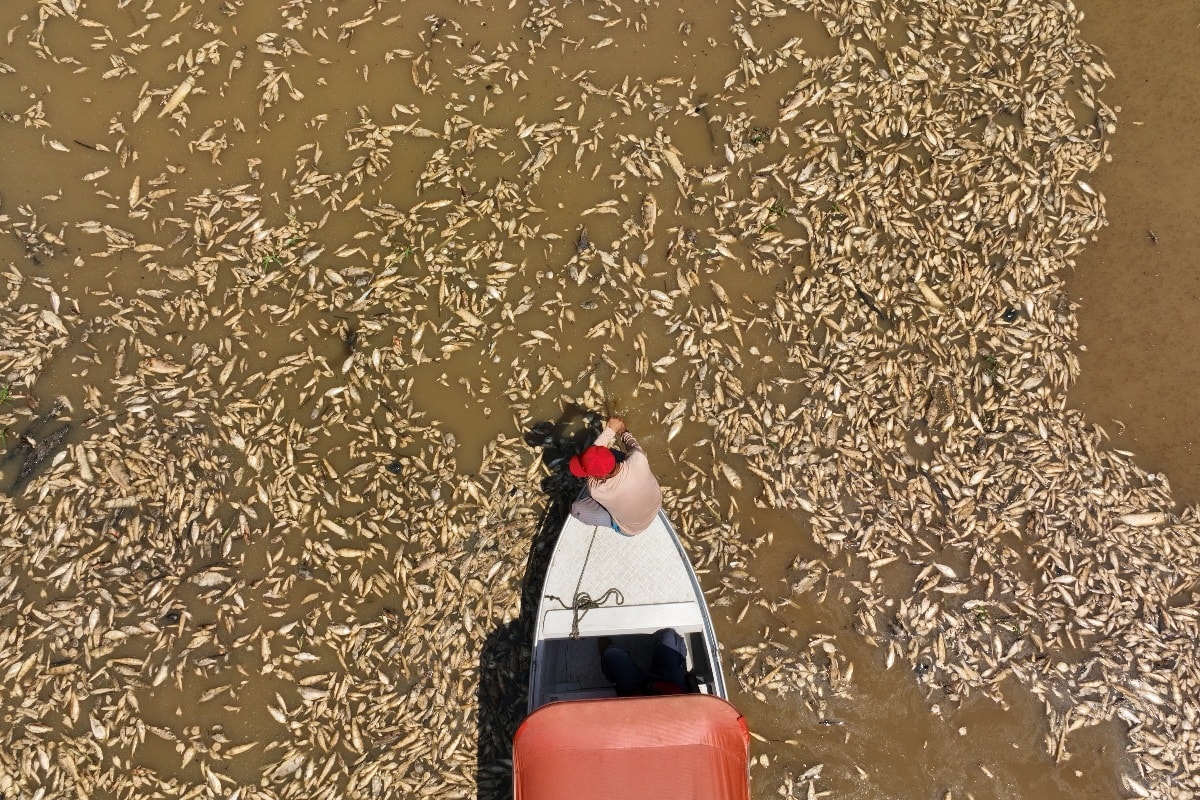 Super El Niño: histórico de anos anteriores deixa o Brasil em alerta