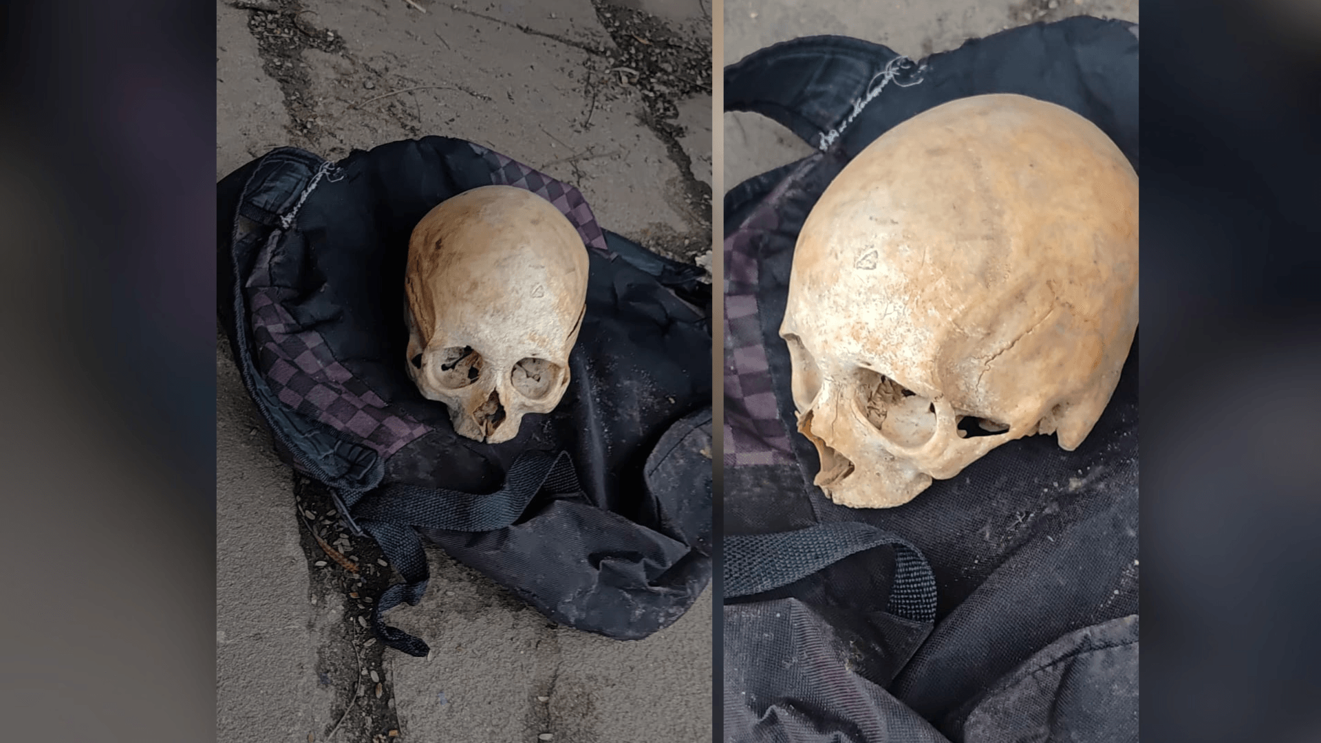 Dezenas de corpos em decomposição são encontrados em funerária nos EUA