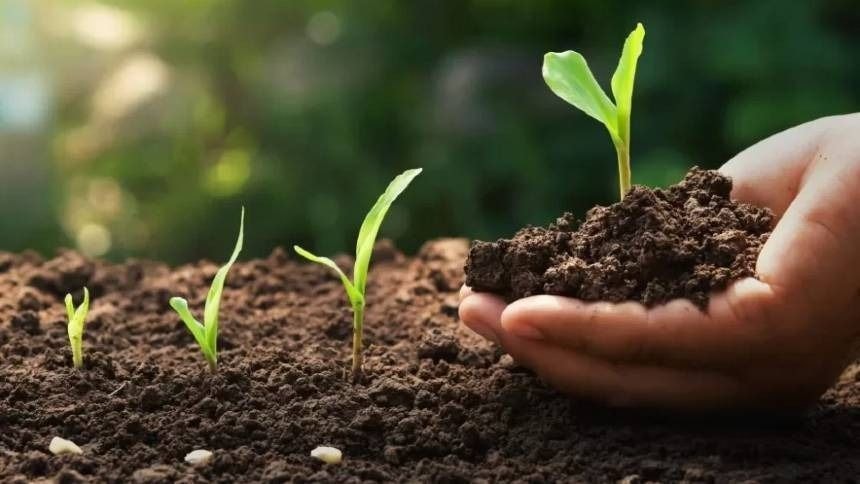 Governo avalia priorizar desembarque de fertilizantes em portos