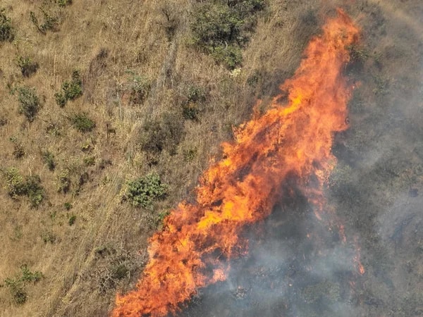Fogo avança sobre a Serra do Curral e mobiliza bombeiros em BH
