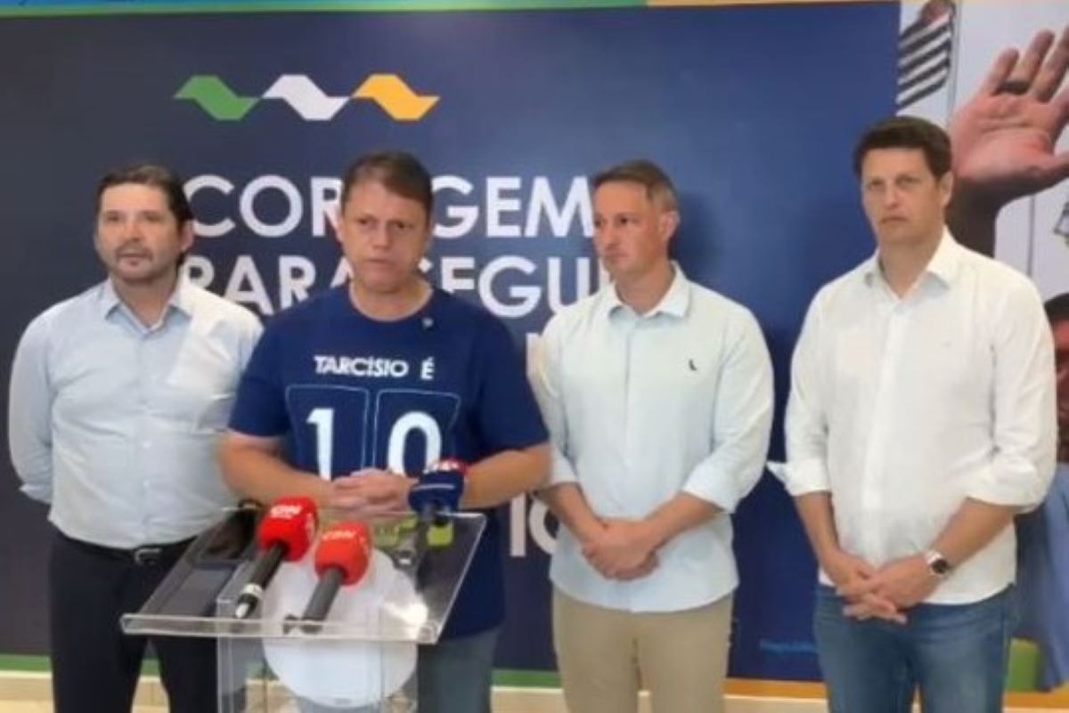 Petista denuncia Salles por usar verba pública a favor de André e Derrite