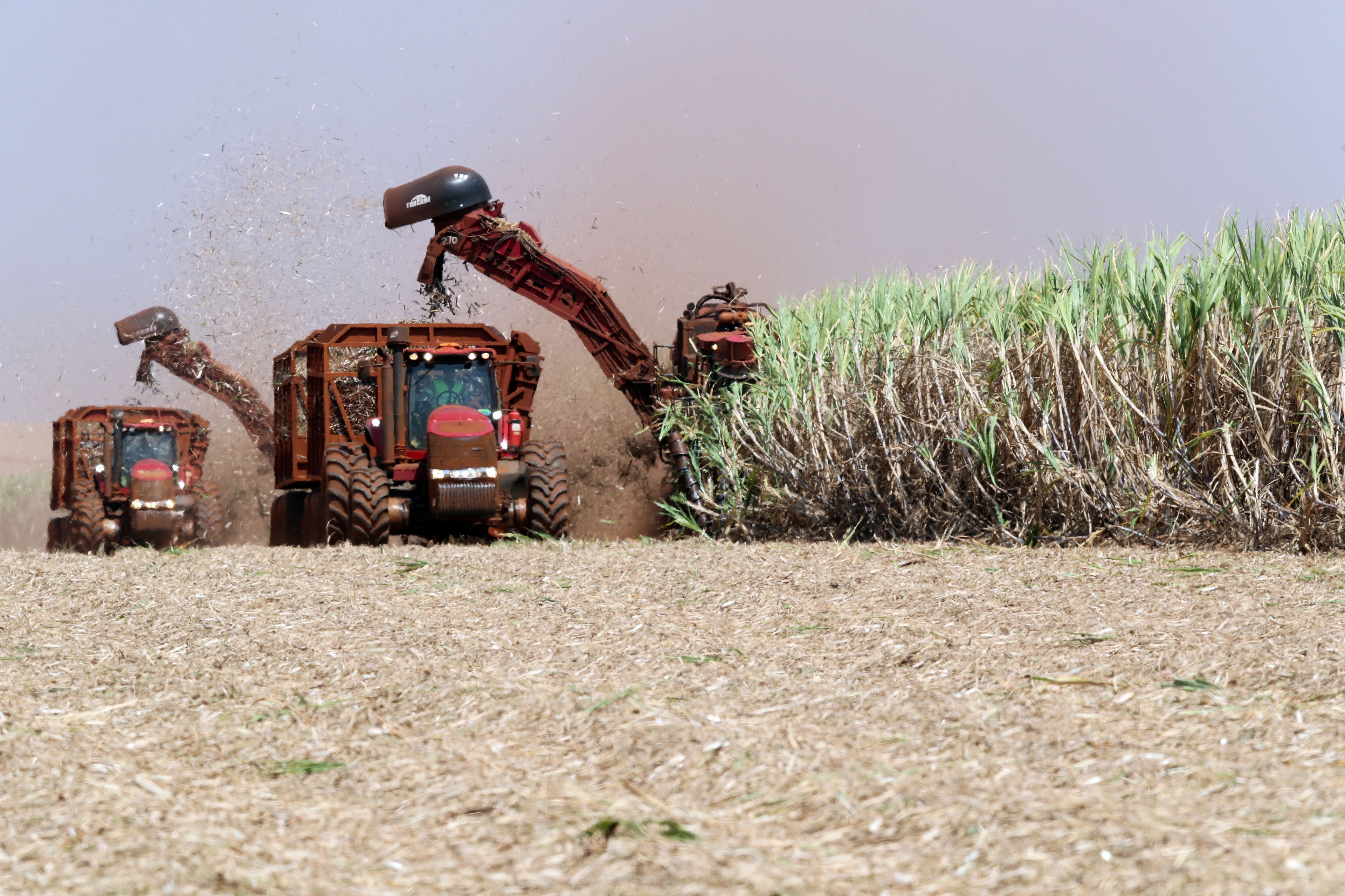 Governo libera R$ 270 milhões para apoiar produtores de cana do Nordeste