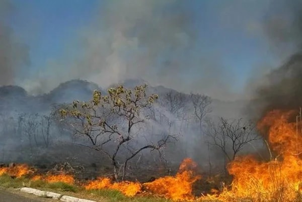 MapBiomas: 64% da área queimada desde 1985 já pegou fogo mais de 1 vez