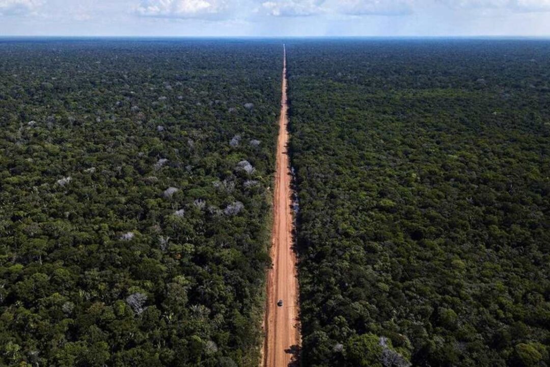 ‘Entrevistas’ debate preservação ambiental no entorno do trecho do meio da BR-319