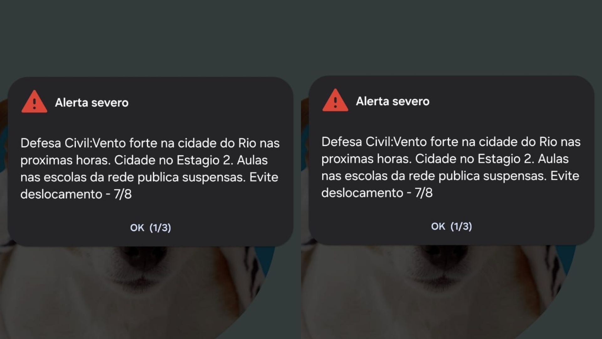 Operação mira grupo suspeito de desviar carros de locadora no Rio