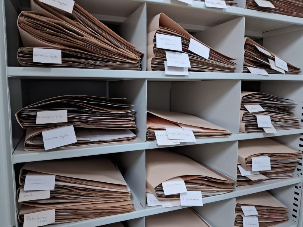 Portal Amazônia responde: o que é herbário?