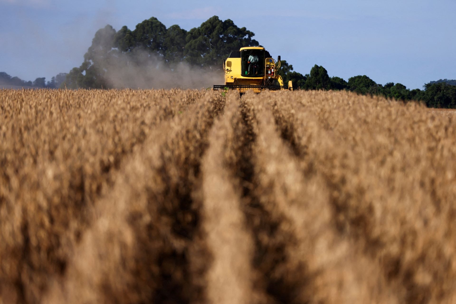 Corte na Selic traz alívio pequeno ao endividado setor do agronegócio, diz Zera