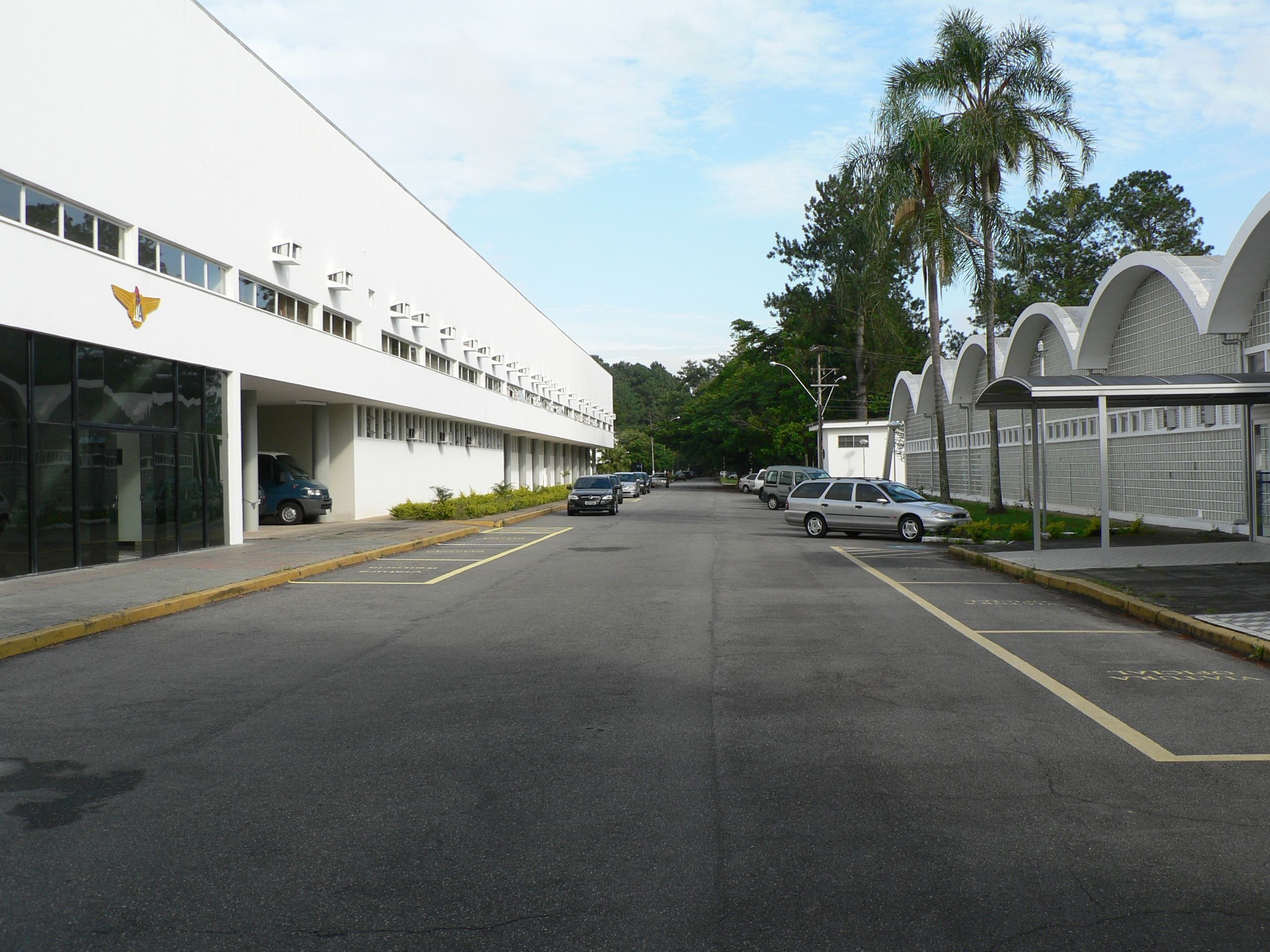 De bolsista a diretora: a volta à escola que mudou uma trajetória