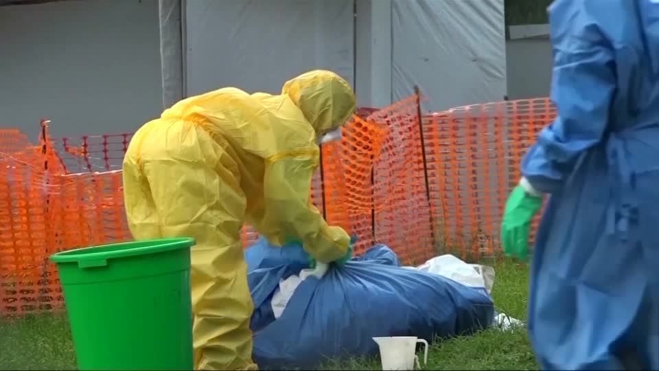 Ebola: veja cronologia da doença e entenda causa de surtos na África