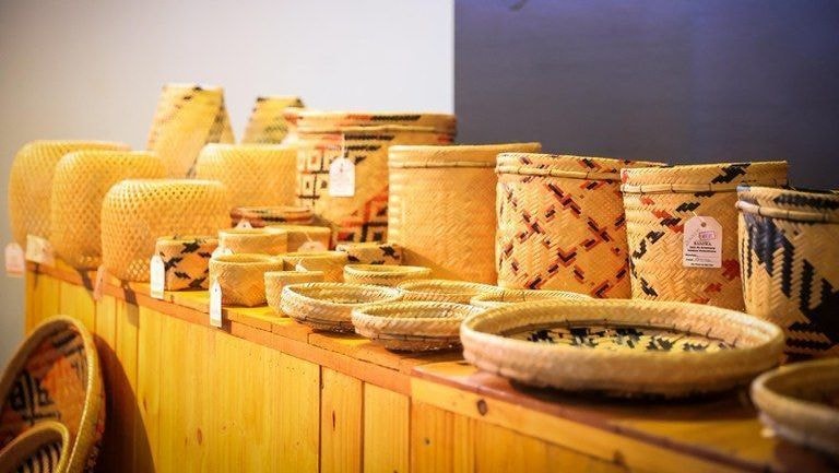 Universidade Federal Indígena propõe autonomia de povos originários