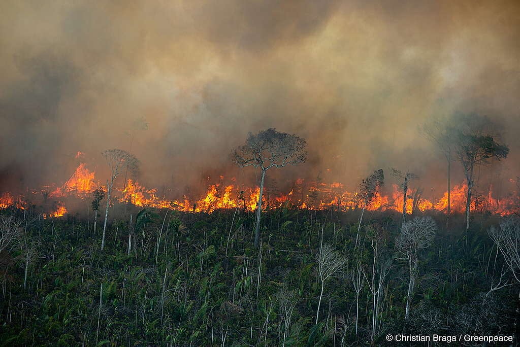 El Niño testará avanços na integração da gestão do fogo, alertam pesquisadores