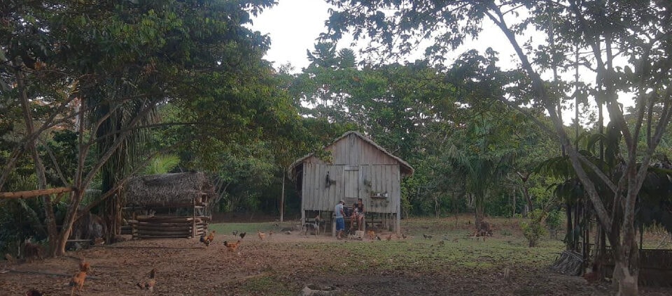 Ufac participa de pesquisa sobre zoonose associada à caça de subsistência na Amazônia