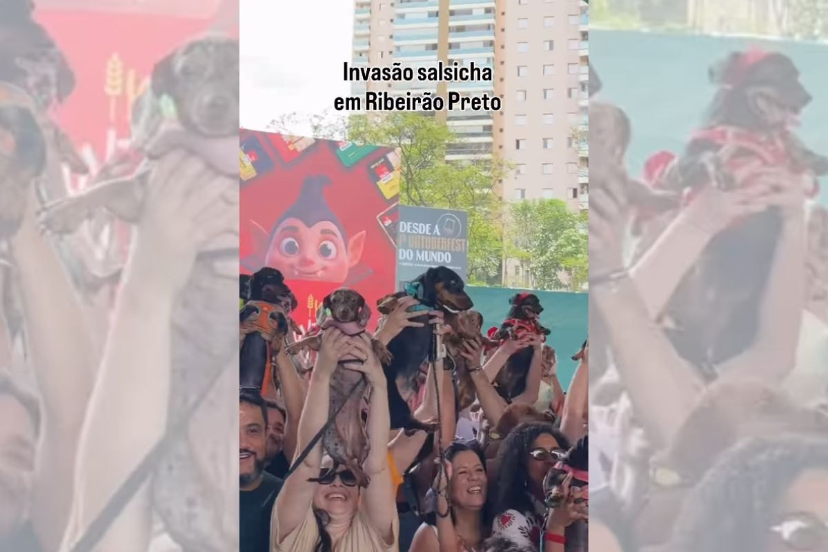 Encontro de cães salsichas vira atração na Oktoberfest de Ribeirão Preto