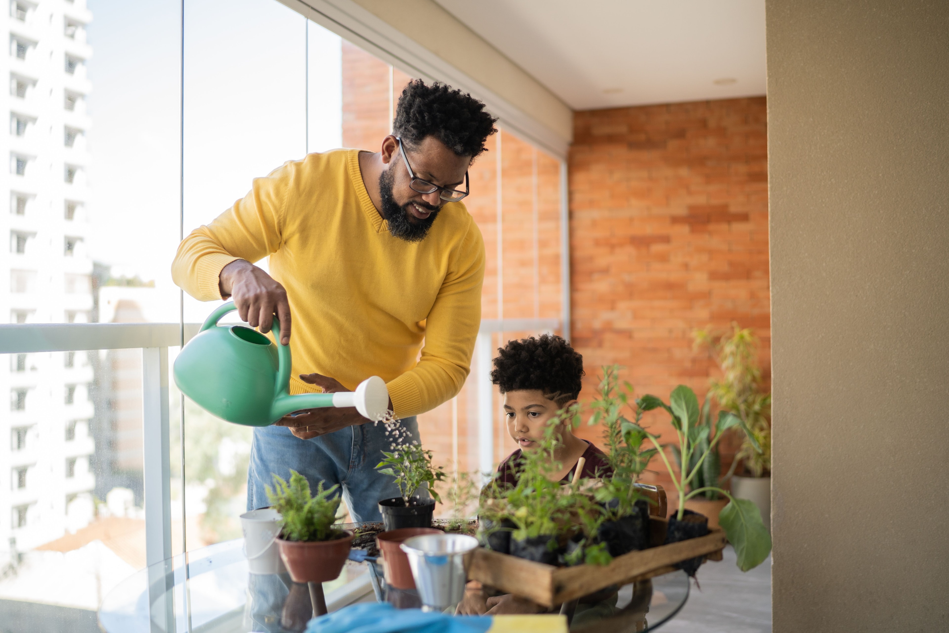 7 plantas para colocar na entrada de casa e afastar inveja e mau-olhado