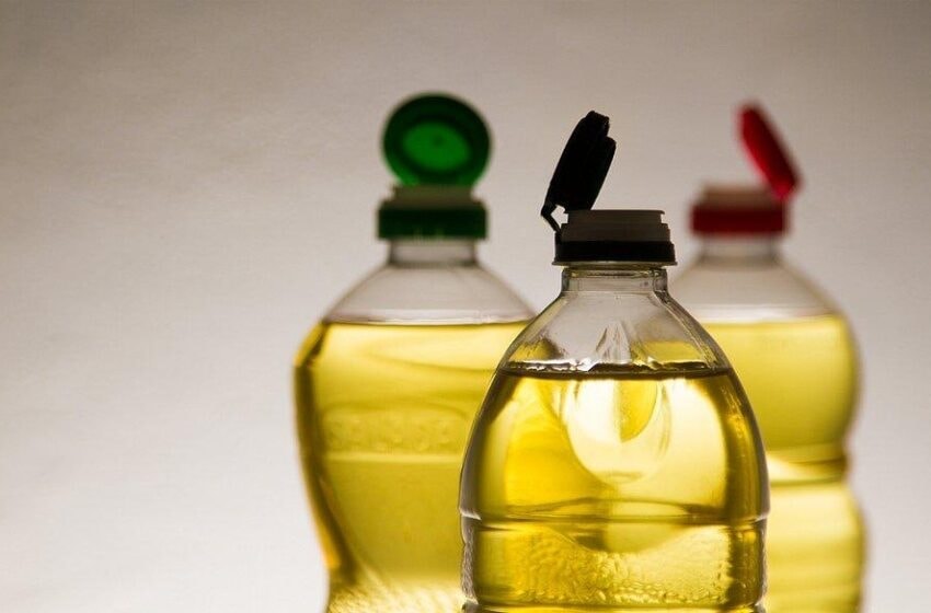 Estudantes do Amazonas investigam biocombustíveis como alternativa de energia renovável