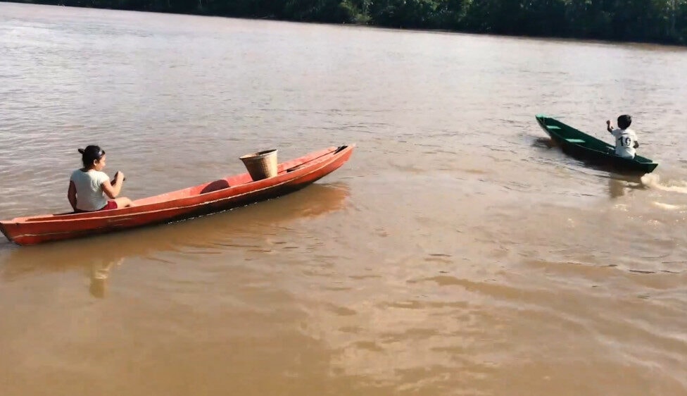 O voto e a Amazônia