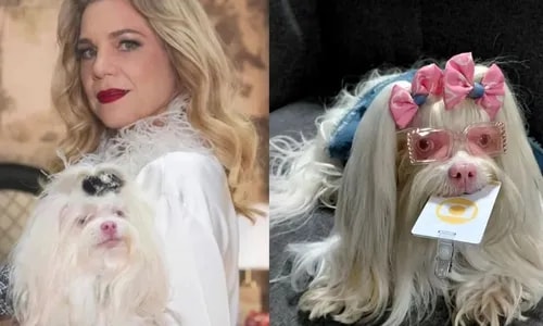 Quem Ama Cuida: Maria Antonieta se vira contra dona e revela pior crime de Pilar