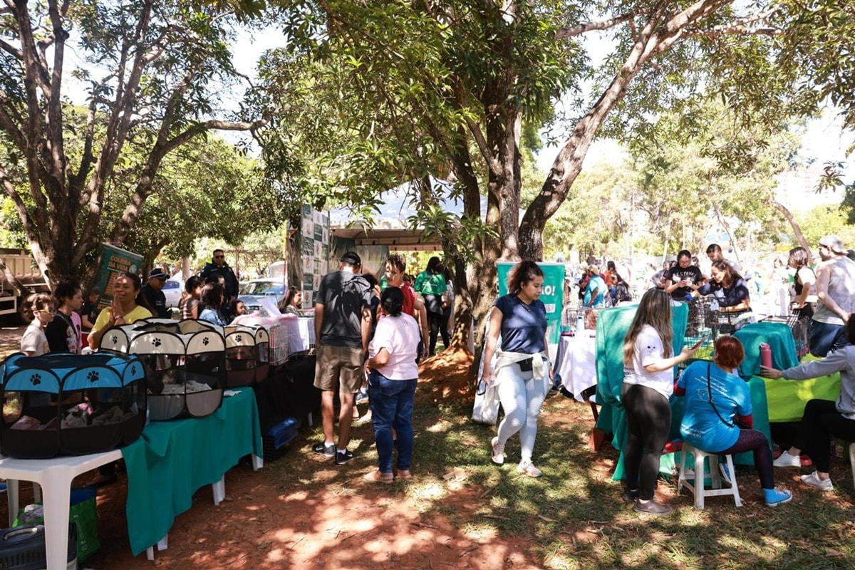 Parque da Cidade recebe feira de adoção de animais neste sábado (30/5)