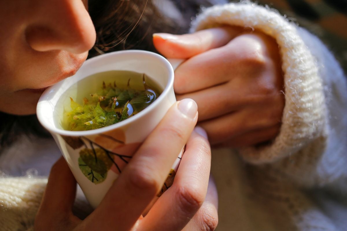 Chá de sálvia tem ação antioxidante e pode aliviar gases; veja como fazer