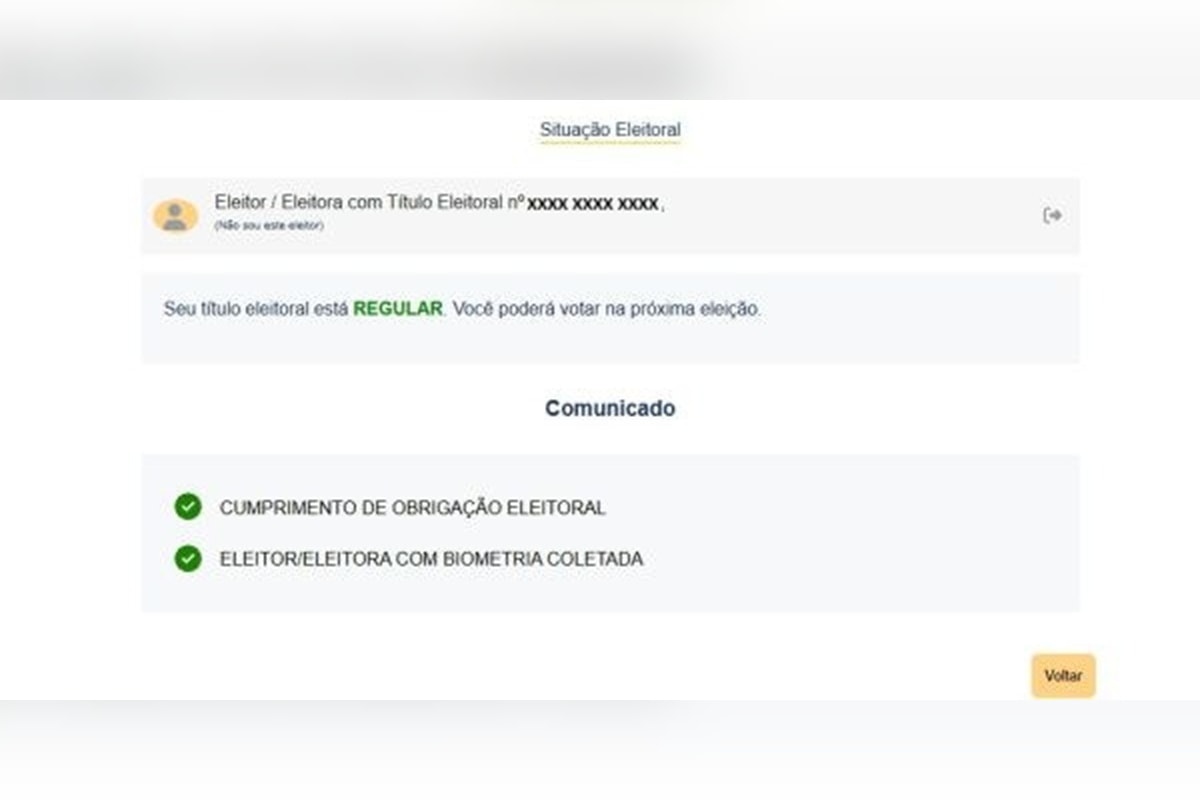 Título de eleitor e biometria regular: veja como fazer a consulta pela internet