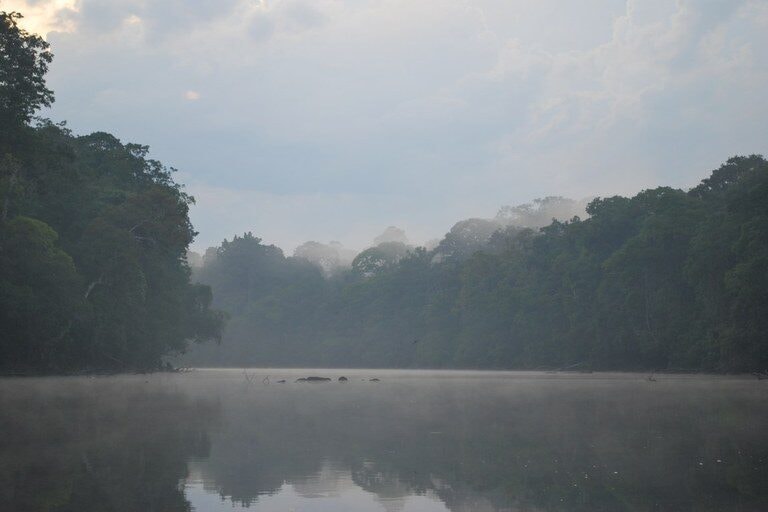 MPF ajuíza ação para impedir mineração na Floresta Nacional do Amapá