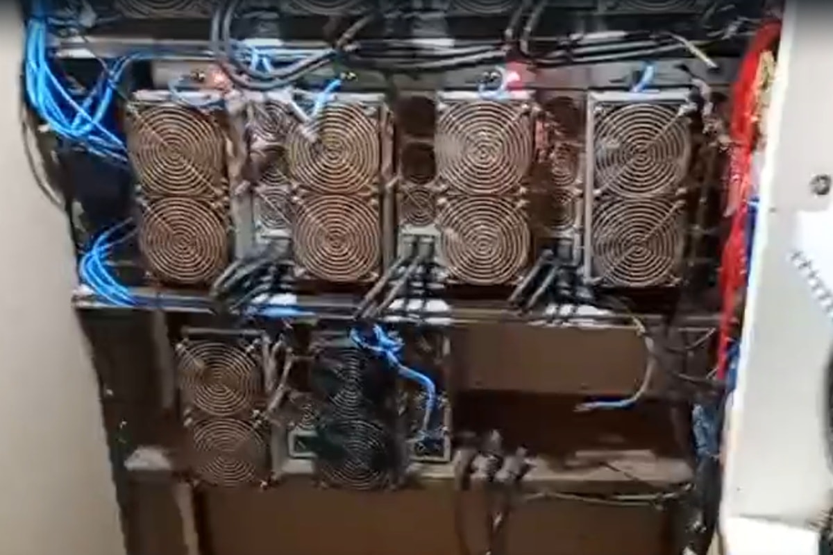 Criptogato: nova operação apreende 90 mineradoras clandestinas no DF. Veja vídeo
