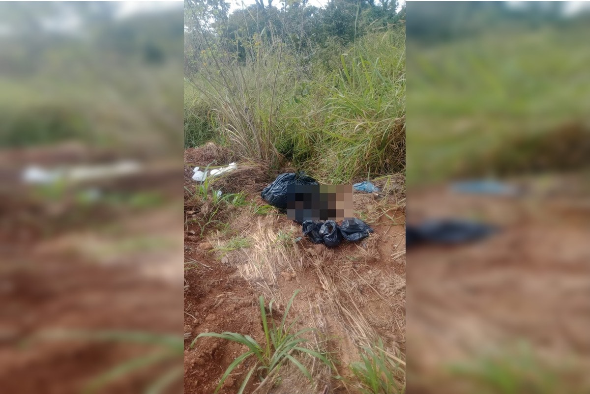 Após denúncia de clínica veterinária, polícia apura descarte de cães em lixão