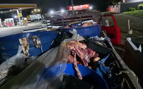 Quase uma tonelada de carne clandestina é apreendida na Bahia