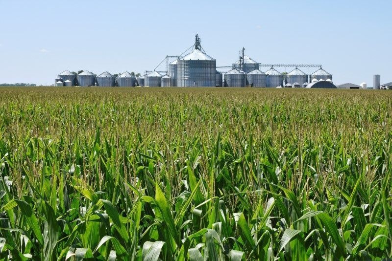Faturamento das seguradoras rurais recua 7,8% e soma R$ 838 mi em abril