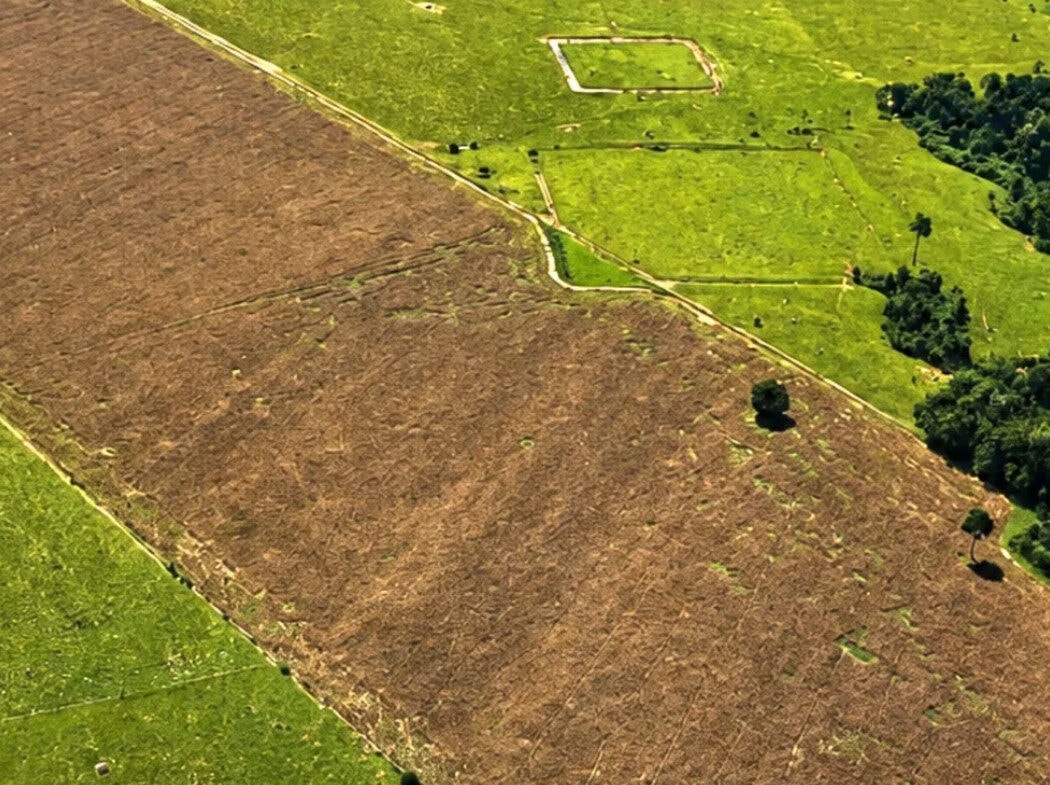 Cientistas do Acre encontram quase 400 novos geoglifos na Amazônia