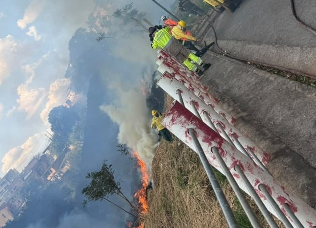 Incêndio em vegetação é controlado acima do Parque Santo Antônio, em BH
