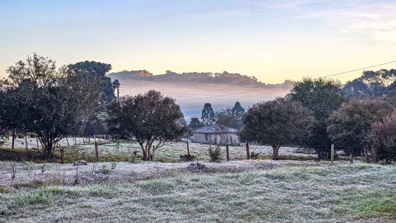 Geada forte congela paisagens em diversas cidades de SC; veja imagens