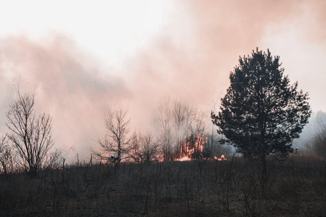 Mudanças climáticas já afetaram 77% dos brasileiros, aponta pesquisa