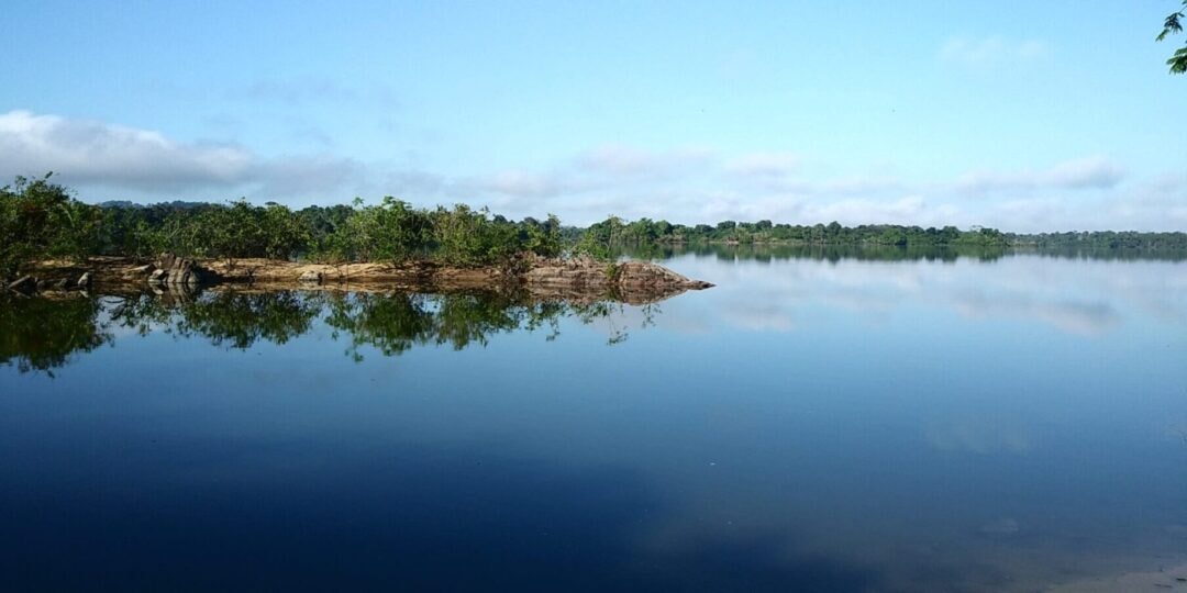 APA Triunfo do Xingu lidera pressão por desmatamento pelo quinto ano consecutivo na Amazônia
