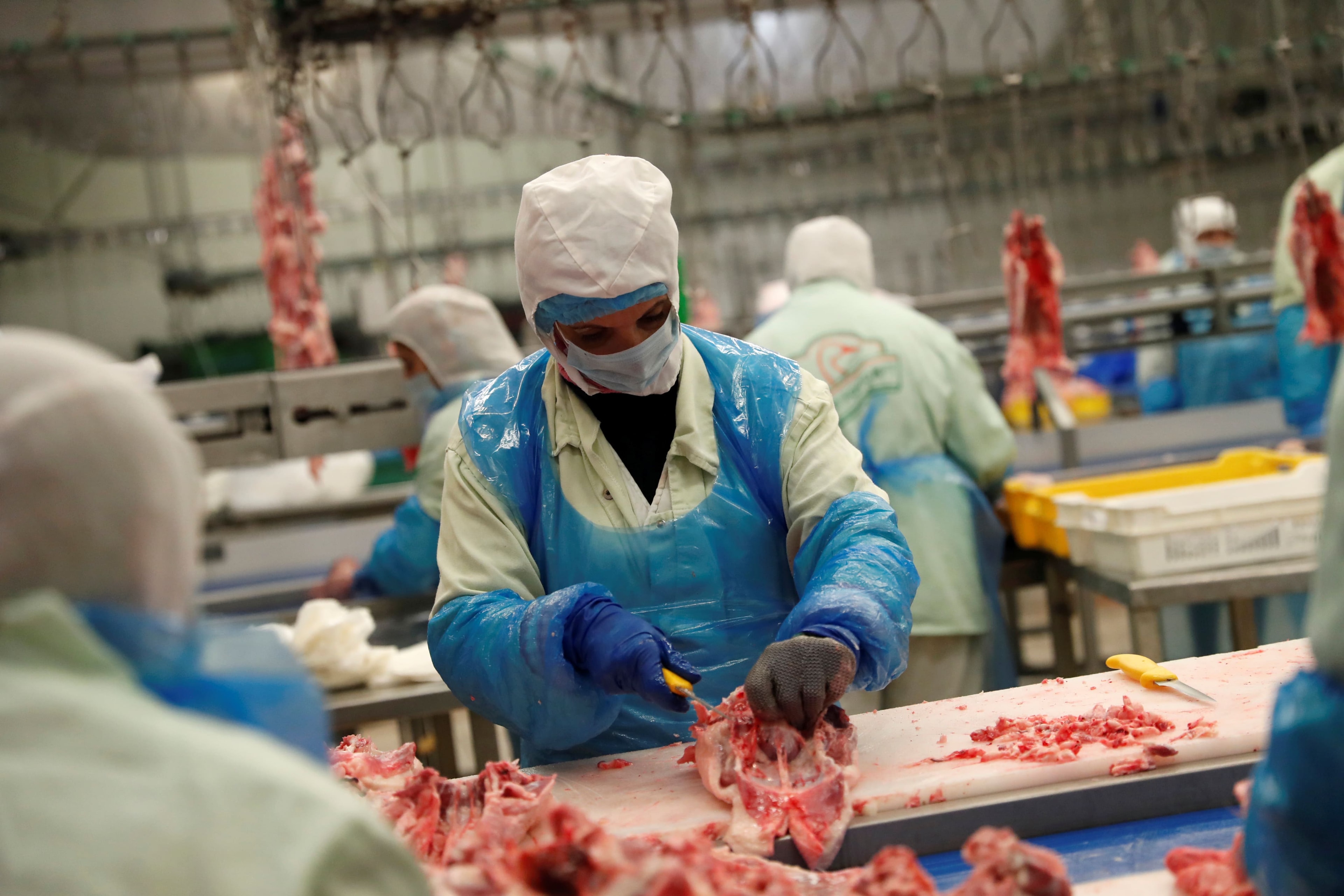 Setor de frango alcança valor bruto de produção de R$ 112,6 bilhões em 2025