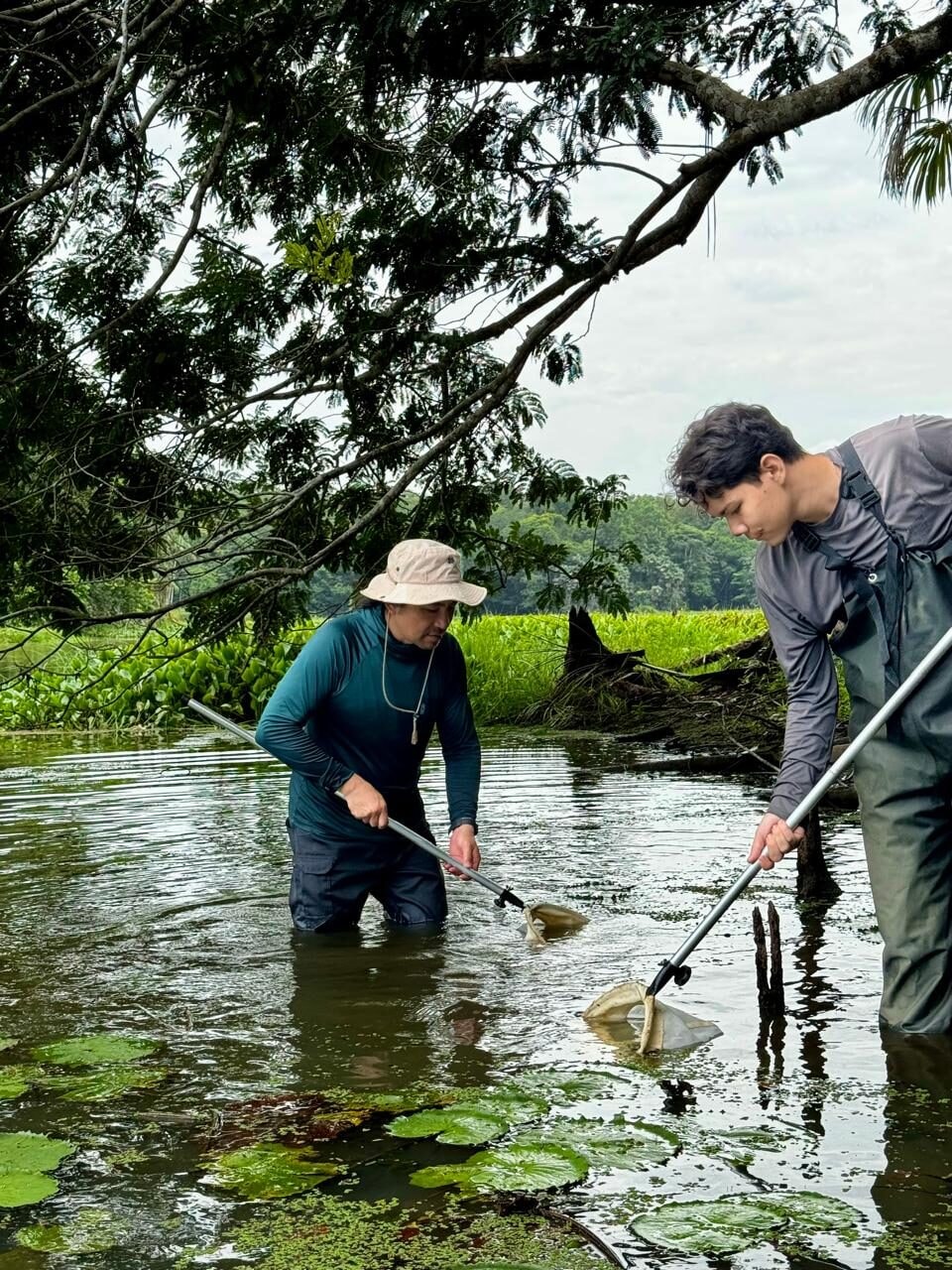 Estudo alerta para impactos ambientais em lagos do Pará e reforça necessidade de monitoramento