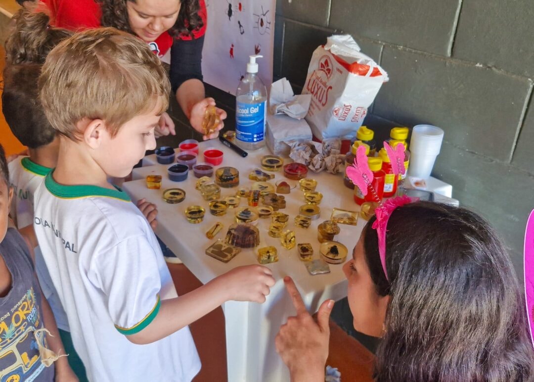 Projeto leva ciência dos insetos para estudantes de escolas municipais de Mato Grosso
