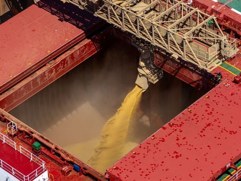 Chinesa Sinograin vende metade do volume de soja oferecido no maior leilão