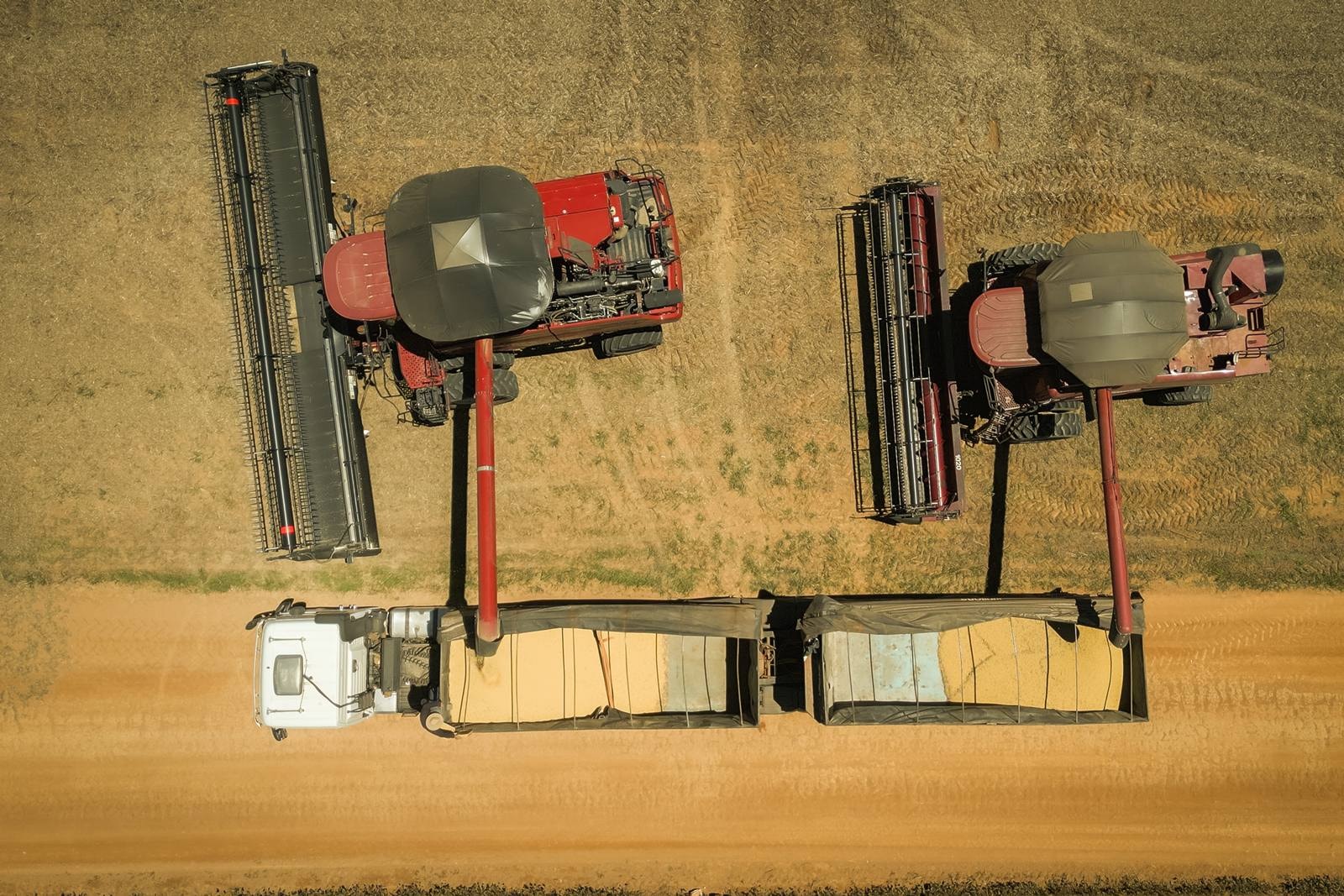 Soja puxa estimativa recorde para safra de 348,7 milhões de toneladas