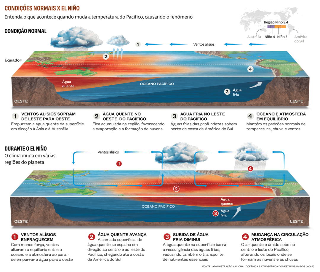 Seca e calor extremos do El Niño 2023-2024 antecipam “novo normal” nas florestas tropicais