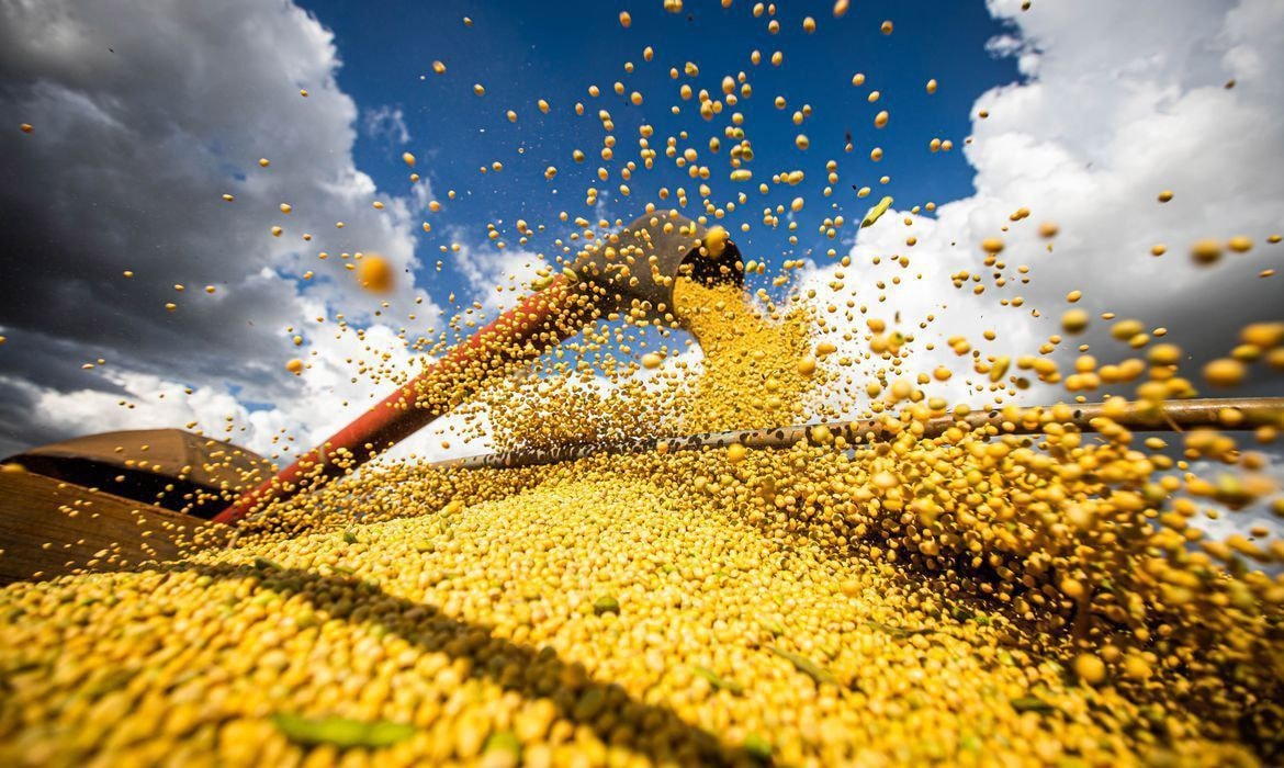 Exportação enfraquecida de milho da safrinha exige estratégia de venda