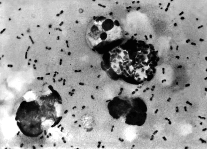Maduro e esposa enfrentam novas acusações por suposta tortura de americanos