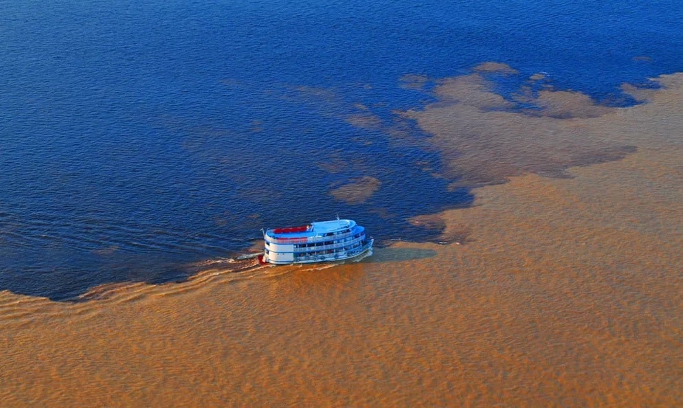 Rios da Amazônia moldaram o relevo e promoveram a distribuição de espécies ao longo de 500 mil anos
