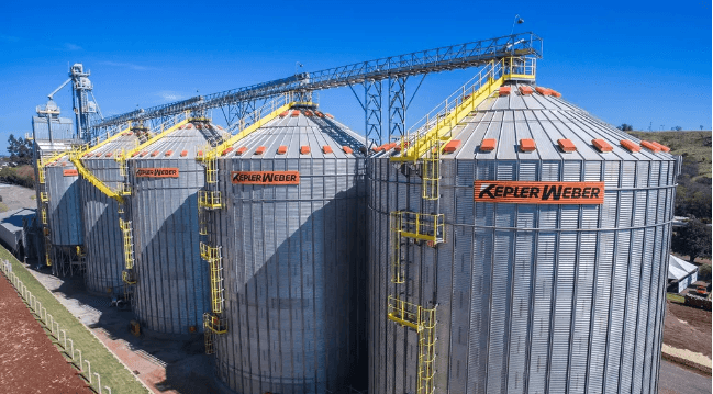 Klabin entra em fase de “colheita” e adia novos grandes investimentos