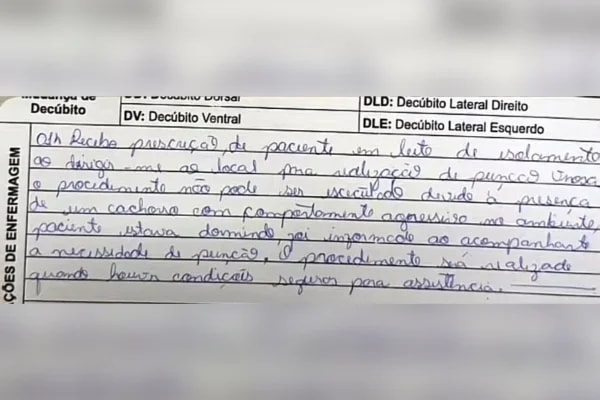 Caramelo vira guarda do tutor e impede aproximação da equipe em UBS