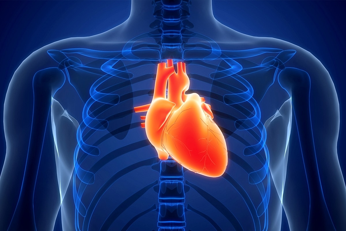 Coração disparado: médico diferencia ansiedade de arritmia cardíaca