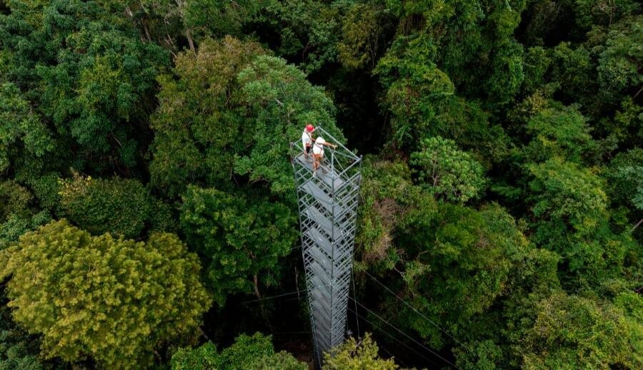 O legado de seu Duquinha e a ciência que estuda a regeneração da floresta na Amazônia