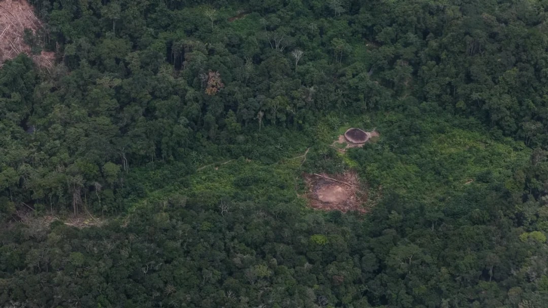 Amazonas reduz desmatamento em 31%, mas continua entre os três estados que mais devastam a Amazônia