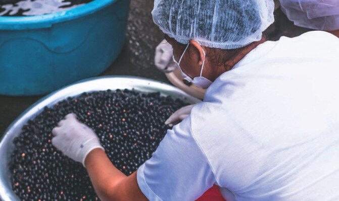 Projeto que regulamenta profissão de manipulador de açaí vai à Câmara